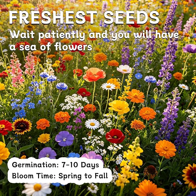LUOJIBIE Wildflower Seeds Bulk, 20,000+ Flowers Seeds for Planting Outdoor, 16 Varieties Annual & Perennial Flowers Seeds Mix Color for Garden, 4 Oz Packet, Non-GMO, Attracts Pollinators, Easy to Grow