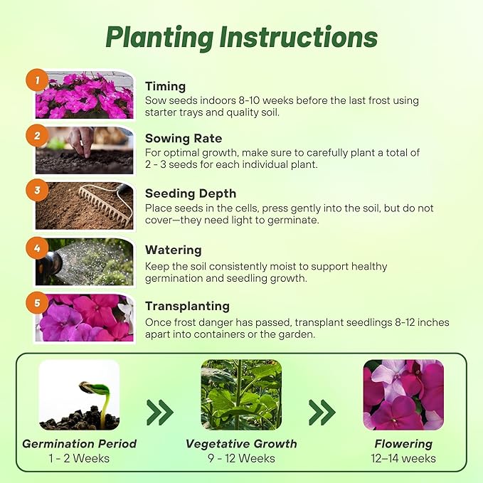 Outsidepride Xtreme Sapphire Mix Impatiens Flower Seeds - 100 Pcs Annual, Compact & Pollinator Friendly, Impatiens Seeds for Planting w/Vibrant, Abundant Blooms for Shade Gardens & Container Displays