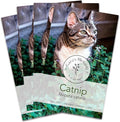 Gaea's Blessing Seeds - Catnip Seeds - Non-GMO Heirloom Seeds Nepata Cataria Open-Pollinated - with Easy to Follow Instructions - 90% Germination Rate Net Wt. 1.1g (Pack of 4)