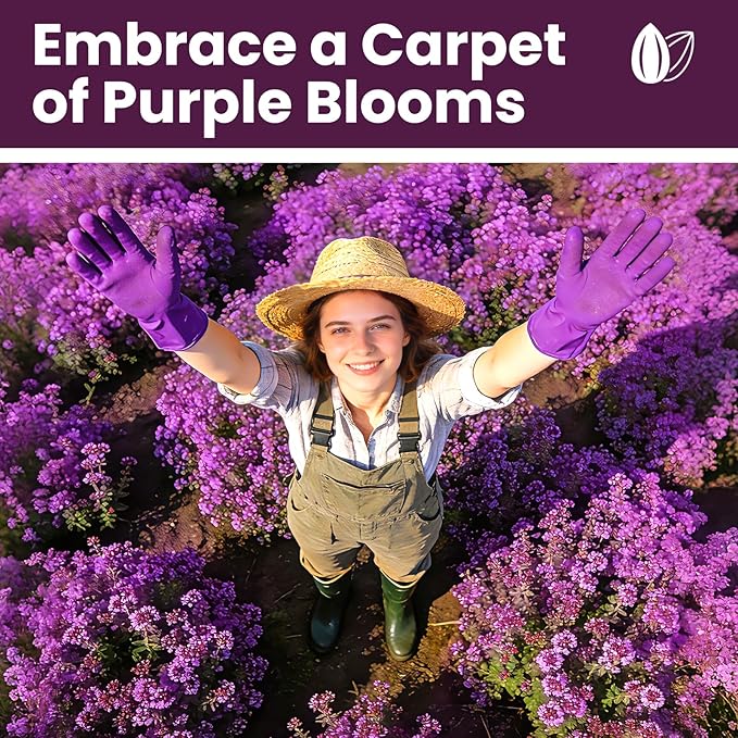 20000+pcs Purple Creeping Thyme Seed for Planting, Non-GMO Heirloom Perennial Ground Cover Flowers Seeds, Lawn Alternative, Fragrant Herb Seeds for Lawns & Paths Garden Backyard