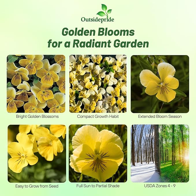 Outsidepride Miniola Heart Gold Violet Seeds for Planting - 100 Pcs Annual, Compact & Pollinator Friendly Viola Flower Seeds with Gold Blooms, Ideal for Garden Borders & Container Displays