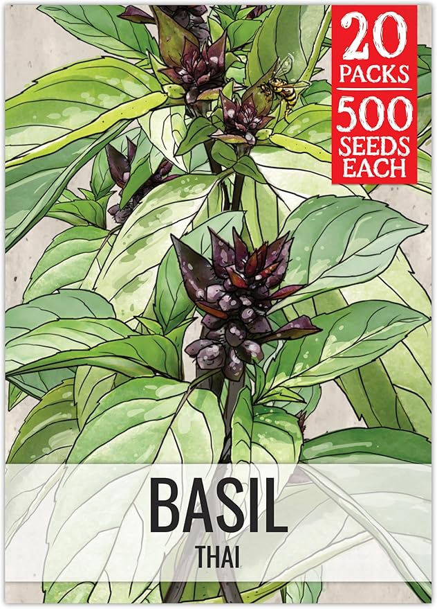 Seed Needs Basil Seeds for Planting Thai Basil Herbs - Non-GMO Heirloom & Untreated Herb Seed to Grow a Fresh Indoor or Outdoor Home Grown Culinary Garden (20 Packs)
