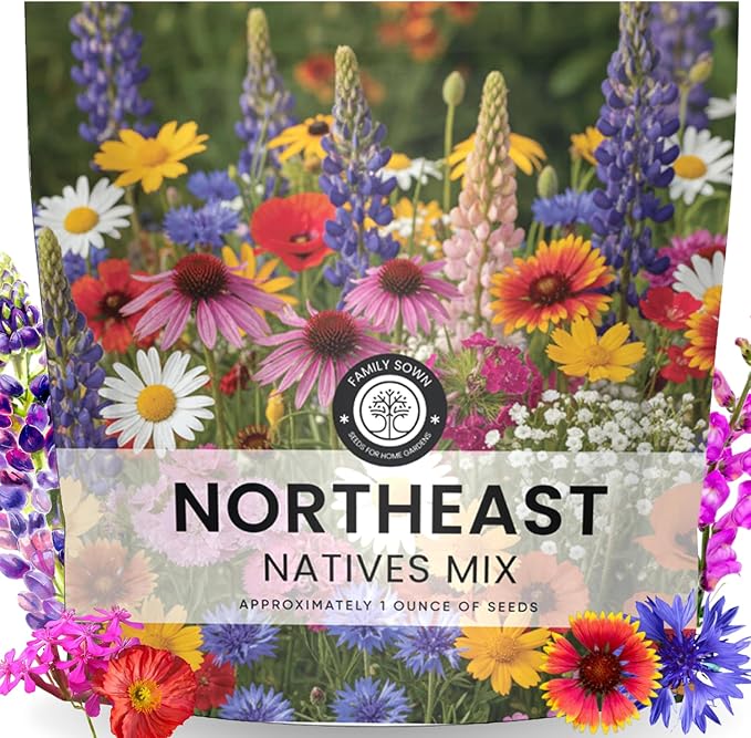 Northeast Natives Mix – 16,000 Seeds for Planting – 2026 Season – 1 Ounce Pouch