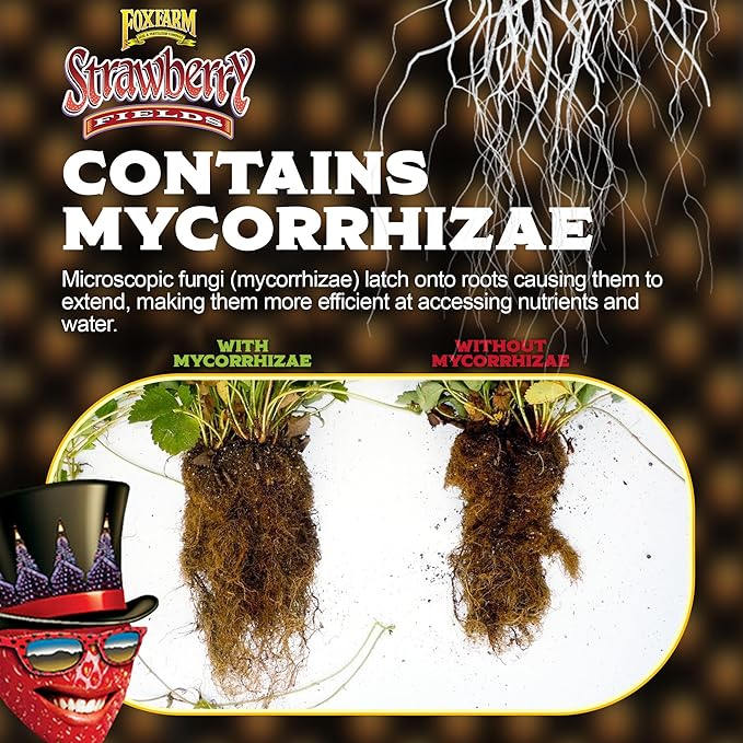 FoxFarm Strawberry Fields Fruiting & Flowering Potting Soil, 1.5cu ft (Pack of 4) - Use to Increase Blooms, Fruits, and Berries - Made for the Fruiting and Flowering Stages of Plants