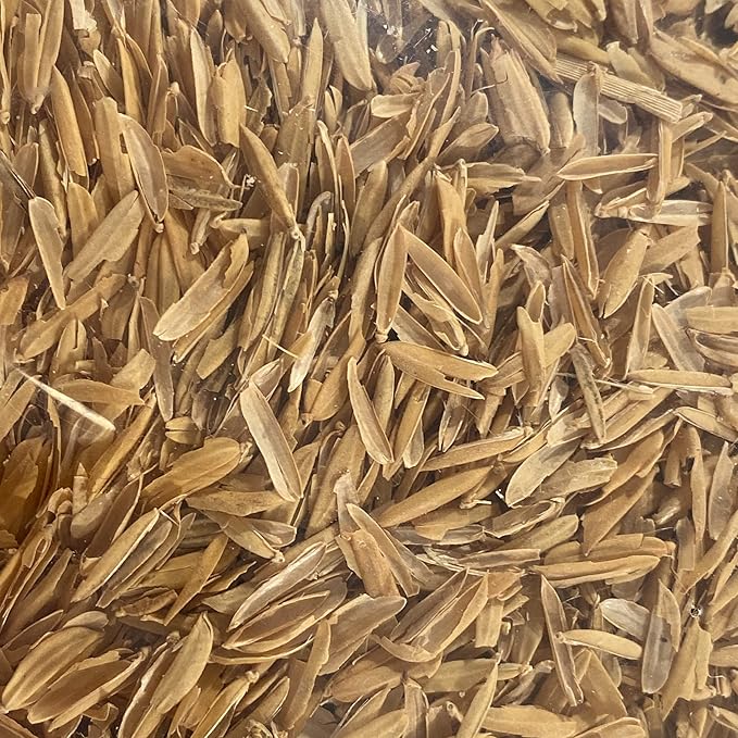 Organic Rice Hulls - 1 Gallon
