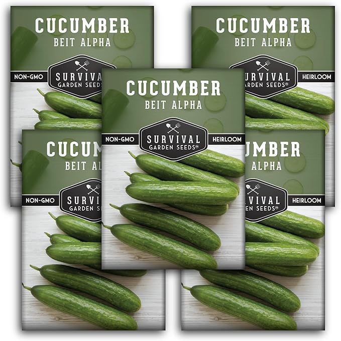 Beit Alpha Cucumber Seeds for Planting | Crisp Burpless Variety with Smooth Skin – Heirloom, Non‑GMO – Survival Garden Seeds (5 Packs)