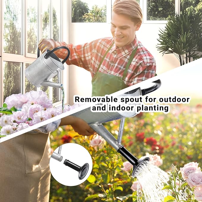 Metal Watering Can with Removable Spout, Galvanized Steel Plants Water Can for Women, Men and Kids' Outdoor or Indoor Gardening - Nice Flower Watering Pot Gift & Decoration (Zinc, 1 Gallon)