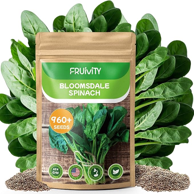 Bloomsdale Spinach Seeds for Planting 960+ Seeds - Non-GMO Heirloom Seeds High Germination Spinach for Indoor Outdoor Home Vegetable Garden - Abundance of Leafy Greens (Spinach Seeds)