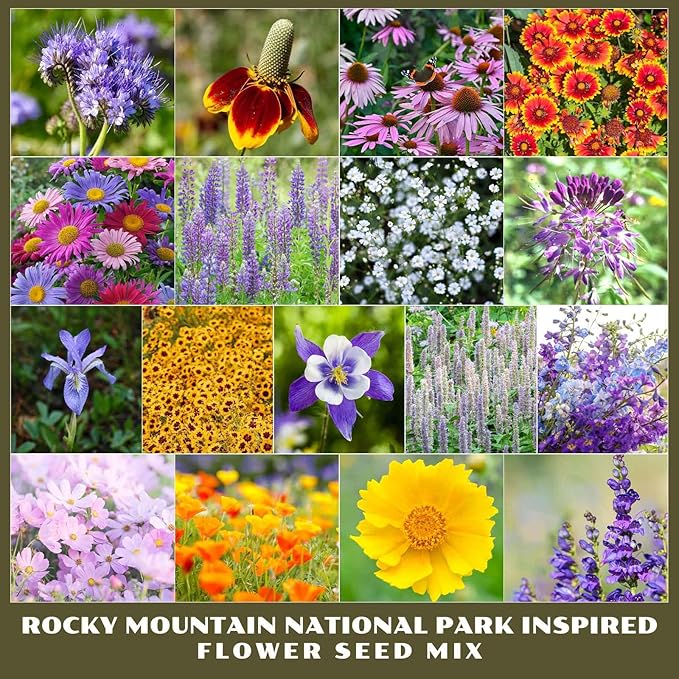 Eden Brothers Rocky Mountain National Park Inspired Wildflower Seed Mix