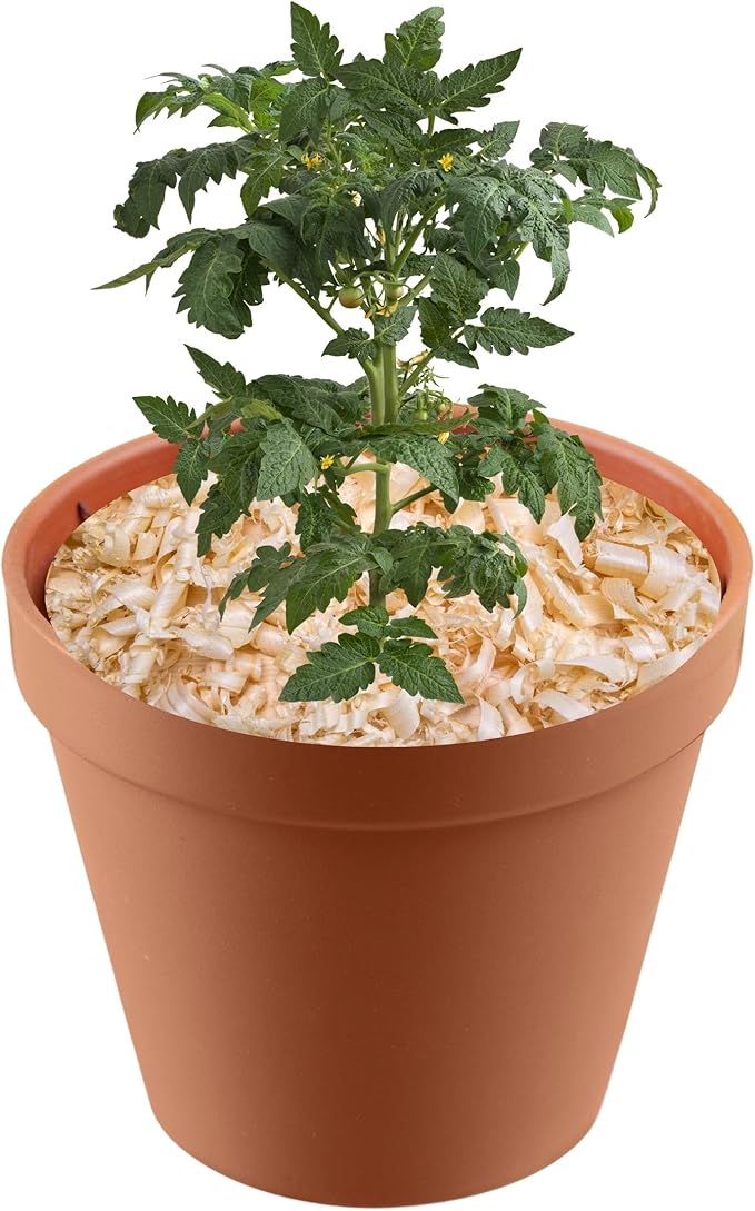 Garden Soils, Mulches and Rocks (Pine Shavings, 1 Quart)