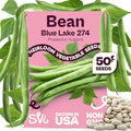 SVI 50 Blue Lake 274 Bush Green Bean Seeds (Phaseolus vulgaris) – Bush Beans Seed Packets, String Beans – Heirloom Vegetable Seeds for Outdoors, Home Garden & Containers