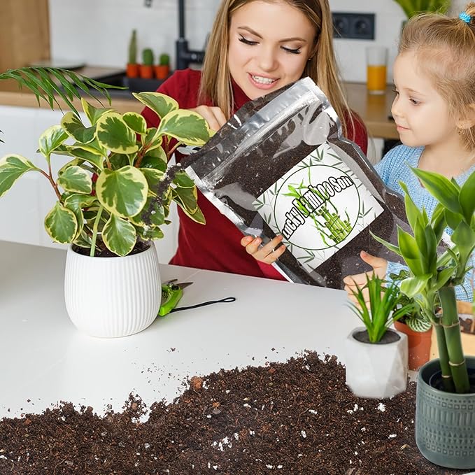 Premium Lucky Bamboo Soil Mix 2qt, Indoor Plants Potting Mix for All Potted Luncky Bamboo, Promote Healthy Growth and Longevity