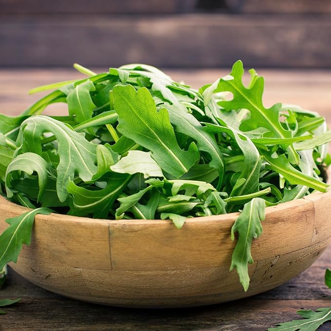 Seed Needs Arugula Seeds for Planting Roquette/Rocket - Non-GMO Heirloom & Untreated - Grow an Outdoor Herb/Vegetable Garden for Home Grown Produce (2 Packs)
