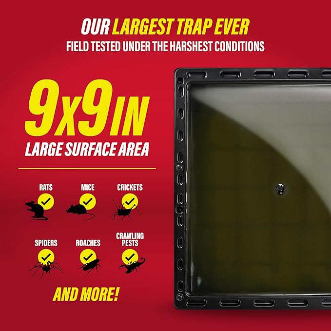 Catchmaster Jumbo Rat & Mouse Glue Traps 6Pk, Large Bulk Glue Board Rat & Mouse Traps Indoor for Home, Adhesive Plastic Tray for Snakes, Mice, & Spiders, Pest Control for House & Garage