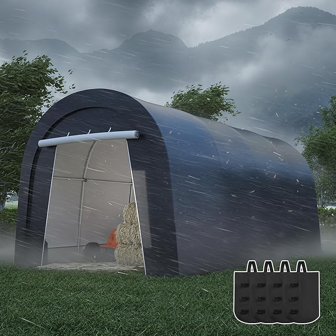 Domed Carport with 4 Cloth Bags, Portable Garage with 2 Roll-up Doors, Heavy Duty Car Canopy Party Tent, All-Season Storage Shelter Shed for Cars, Truck, or Garden Tools, 10' x 20'