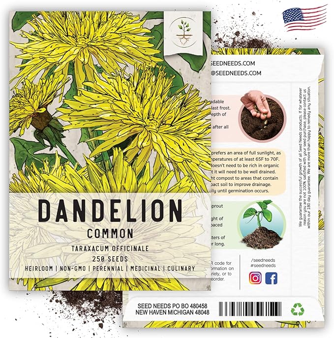 Seed Needs Dandelion Seeds for Planting Traxacum officinale - Non-GMO Heirloom & Untreated Garden Seed to Plant Dandelions for Herbal Uses & Edible Salads (2 Packs)