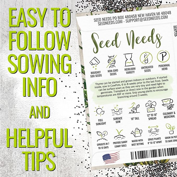 Seed Needs Thyme & Oregano Seeds for Planting Fresh Kitchen Herbs - Non-GMO Heirloom & Untreated Perennial Herb Seed to Plant a Culinary Garden Indoors or Outdoors (2 Packs)