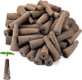 Tvoip 50 Pack Grow Sponges, Eco-Friendly Plant Seed Starter Sponges Compatible Seed Pod Replacements Root Growth Sponges Gardening Accessories Suitable Garden System Seed Starting (50 Pack Sponges)…