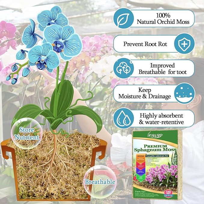 Legigo 3.5oz Natural Sphagnum Moss for Plants, 4QT Long Fiber Orchid Moss Potting Mix, Dried Sphagnum Moss for Plants Indoor, Orchid Repotting, Succulent, Carnivorous Plants, Terrarium and Reptiles