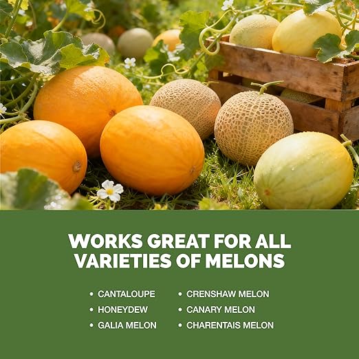 Melon Fertilizer – Liquid Plant Food for Bigger Melons, Stronger Vines & Better Fruit Development, 32 oz