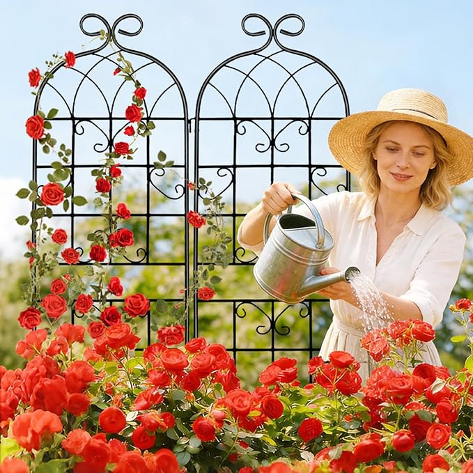 2 Pack 71x20in Garden Trellis, Black Metal Coating Rustproof, Easy to Install + Perfect for Supporting Climbing Plants Outdoor Roses, Vines, Flowers, and Vegetables