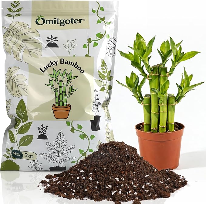 Pure Natural Potting Soil for Lucky Bamboo Plants 2qt- Superior Drainage & Breathability, Ideal Indoor Plant Soil