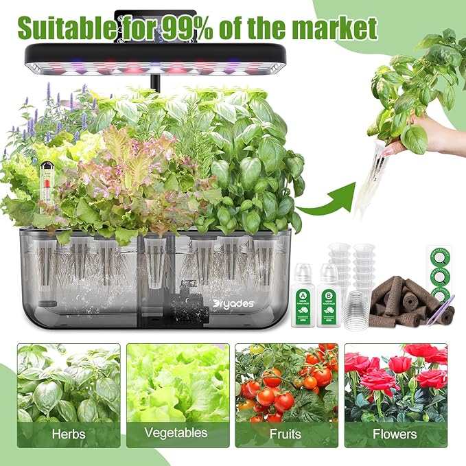 Salad Seed Pods, 12 Pods Grow Anything Kit for All Hydroponics Growing Systems with Nutrient & 300mg Seeds of Buttercrunch, Black Seeded Simpson, Oakleaf, Prizehead, Red Salad Bowl and so on