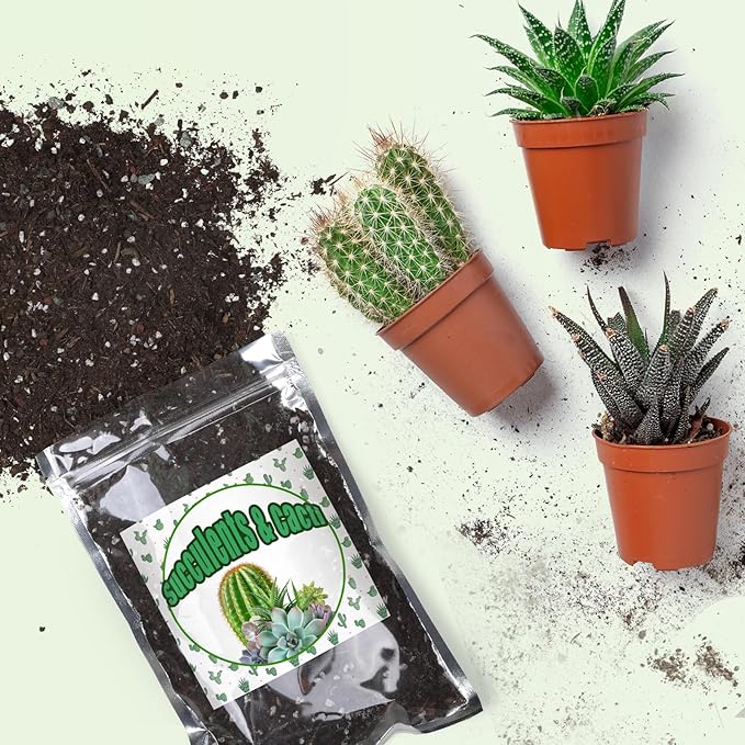 Cactus & Succulent Soil Mix 1qt, Chunky Well-Draining Soil for Indoor Plants - Spike & Bloom