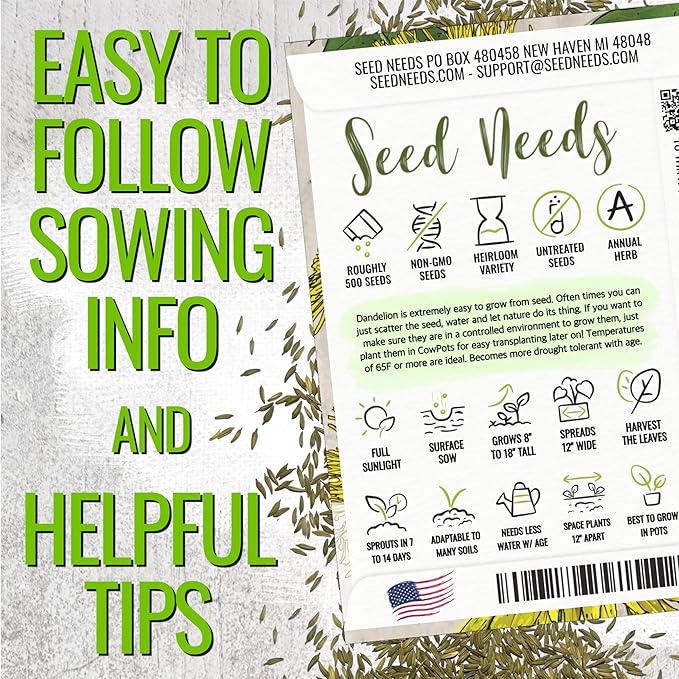 Seed Needs Dandelion Seeds for Planting Taraxacum officinale - Non-GMO Heirloom & Untreated Perennial Herbs - Grow Salad Greens, Food for Tortoises, Rabbits & Bearded Dragons (5 Packs)