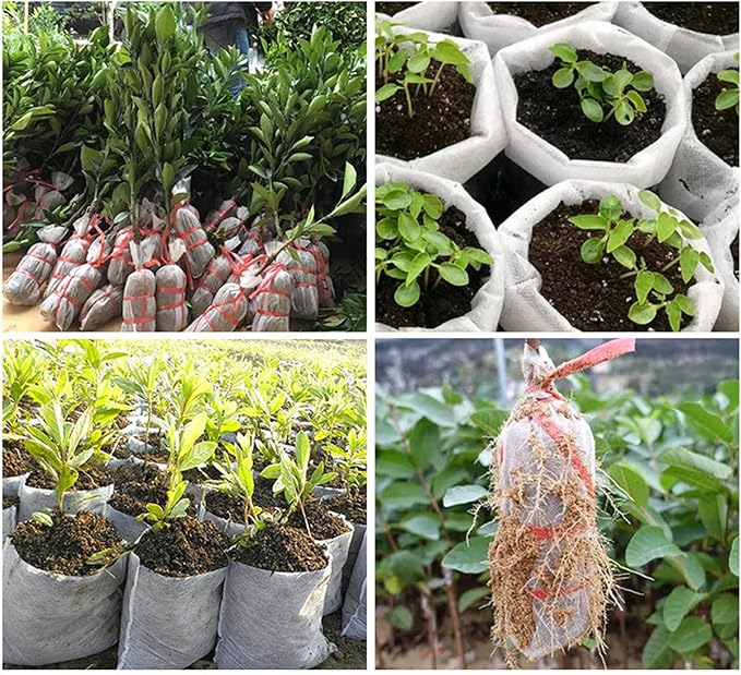 300 Pcs Plants Nursery Bags Non-Woven Seedling Grow Bags for Vegetables Flowers Fruits Trees Planting Transplant for Home Garden Pots (300, 12 * 15cm)