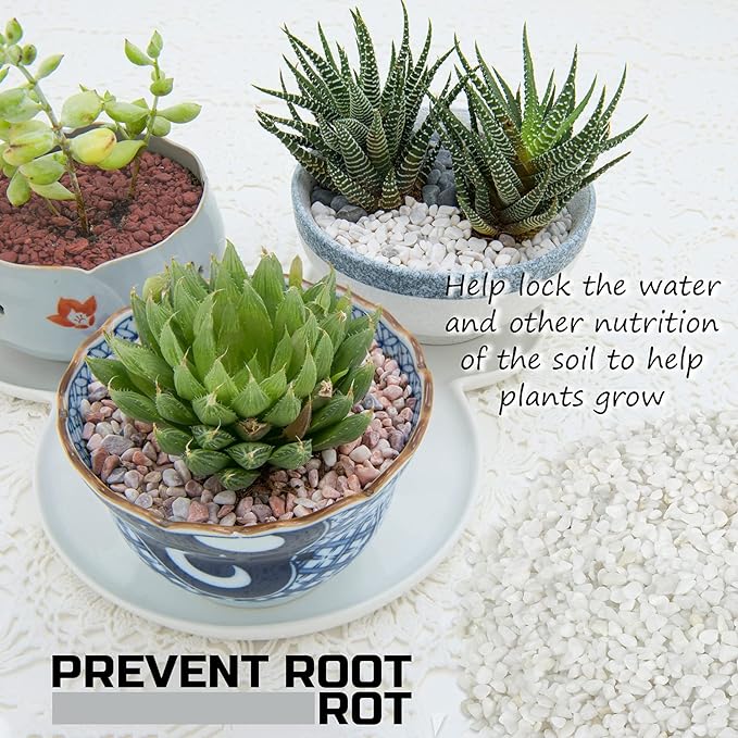 2LBS Horticultural Succulent Rocks Bonsai Mix Succulent Potting Mix Lava Rocks Cactus Soil Potting Mix Amendment