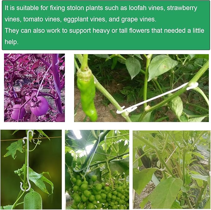 60 Pack Tomato Support Hooks Growing Tomato Clips Instead of Twist Ties Quick Plant Support Clip for Climbing Plants Green Pepper Cucumber Grape Vines Trellis Support Tomato Cages Vegetables