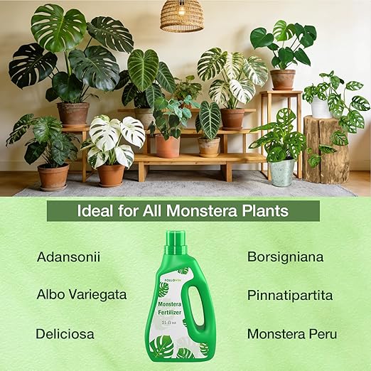 FOLLOWIN Monstera Fertilizer Liquid, 3-1-2 NPK Tropical Plant Food for Indoor Houseplants, Water Soluble Concentrated Formula with Micronutrients for Deliciosa Adansonii Albo Variegata, 21 fl oz