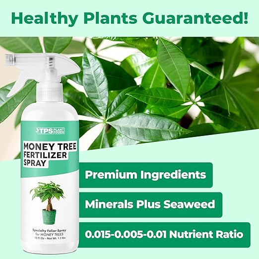 Money Tree Fertilizer Spray, Gentle Foliar Feeding Spray for Healthy Leaves and Plants, Liquid Fertilizer by TPS Plant Foods, 16oz (475ml)