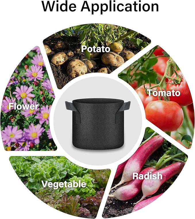 HealSmart Plant Grow Bags 2 Gallon, Tomoato Planter Pots 10-Pack with Handles, Aeration Nonwoven Fabric, Heavy Duty Gardening Planter for Vegetable, Herbs and Flowers, Black 2024 Version