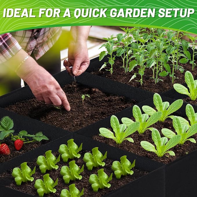 GREANER Fabric Raised Garden Bed, 6x3FT-8 Grid Garden Bed to Grow Vegetables, Heavy Plant Grow Bags for Growing Vegetables Flowers Herbs Fruits Potatoes