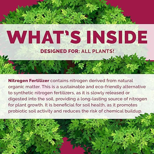 Bloom City's Organic Nitrogen - Liquid Fertilizer for Lawns - Nitrogen Fertilizer for Lawns & Gardens, Quart (32 oz)