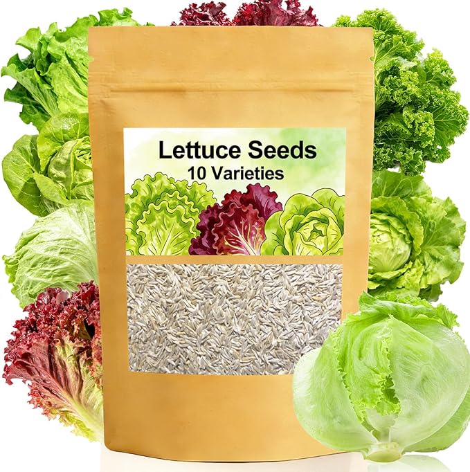 Lettuce Seeds, 10 Varieties Individual Packs, 40000+ Non-GMO Heirloom Vegetable Seeds for Planting Indoor Outdoor for Fresh Salad, Easy to Grow for Garden Beginners, Gifts for Women Men Plant Lovers.