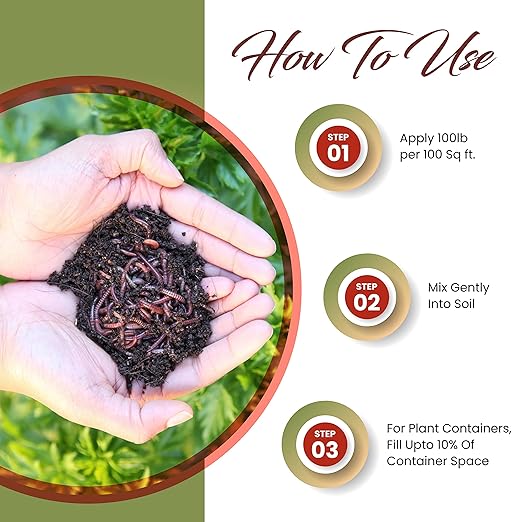 Worm Bliss (2 Gallons) + Char Bliss (8 Qts) - Organic Worm Castings for Plants & Organic Biochar for Plants - Biochar Soil Amendment - Charcoal for Plants - Earthworm Castings Organic Fertilizer
