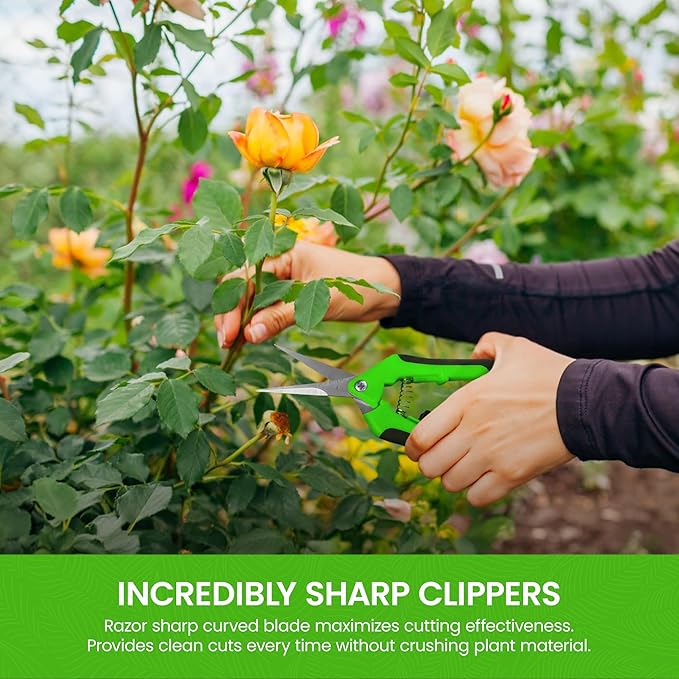 Garden Guru Razor Sharp Snip - Professional Garden Pruning Shears Trimmers Scissors – Micro-Tip Precision Stainless Steel Blades - Easy on Arthritic Hands - Soft Ergonomic Rubber Handles (4 Pack)