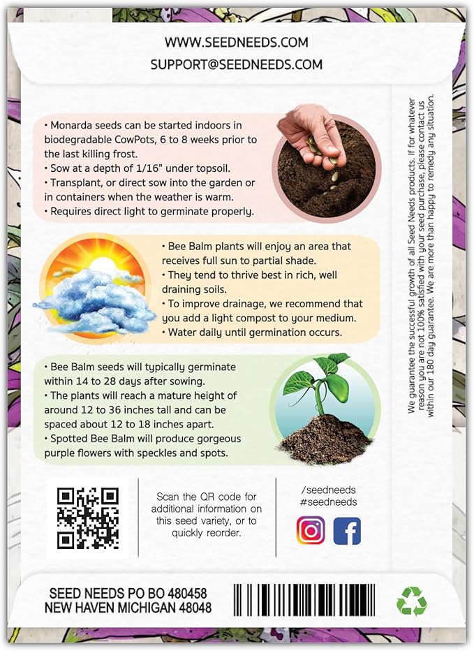 Seed Needs, Spotted Bee Balm Seeds - 300 Heirloom Seeds for Planting Monarda punctata - Medicinal Horsemint Herb, Open Pollinated, Attracts Pollinators (2 Packs)