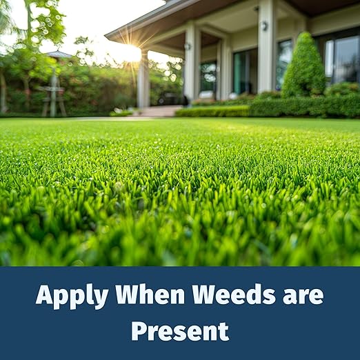 Lesco Fertilizer Plus Herbicide, Weed and Feed, 18-2-3