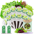 Salad Seed Pods, 12 Pods Grow Anything Kit for All Hydroponics Growing Systems with Nutrient & 300mg Seeds of Buttercrunch, Black Seeded Simpson, Oakleaf, Prizehead, Red Salad Bowl and so on