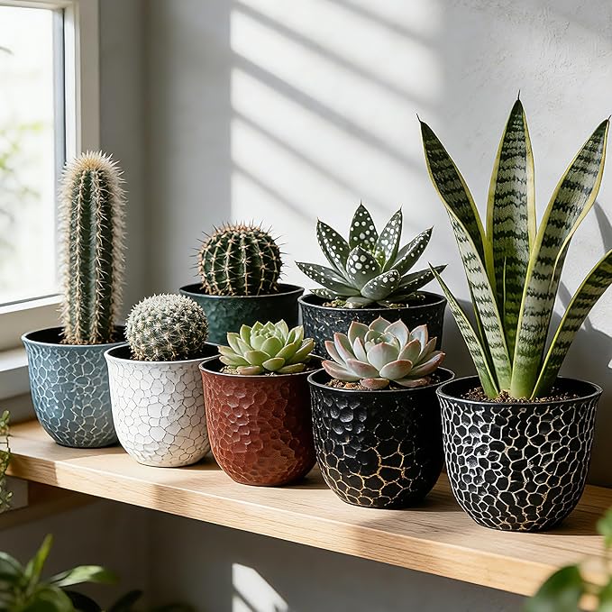 Worth Garden Plastic Round 8 Inch Planters for Indoor Plants Set of 6 Outdoor Resin Flower Pots Colorful with Drainage Hole Rubber Plug Retro Appearance Home Christmas Decorative Containers Multicolor