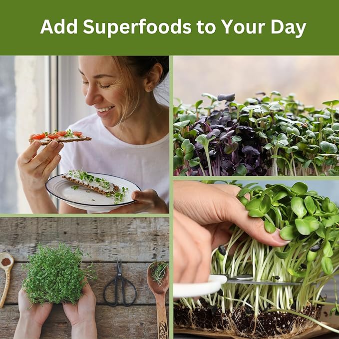 Home Microgreens Kit Refill - Coco Coir Growing Medium - Premeasured for 4 plantings; Includes Non-GMO Organic Broccoli and Radish Seeds for 4 Harvests - Detailed Instruction Sheet