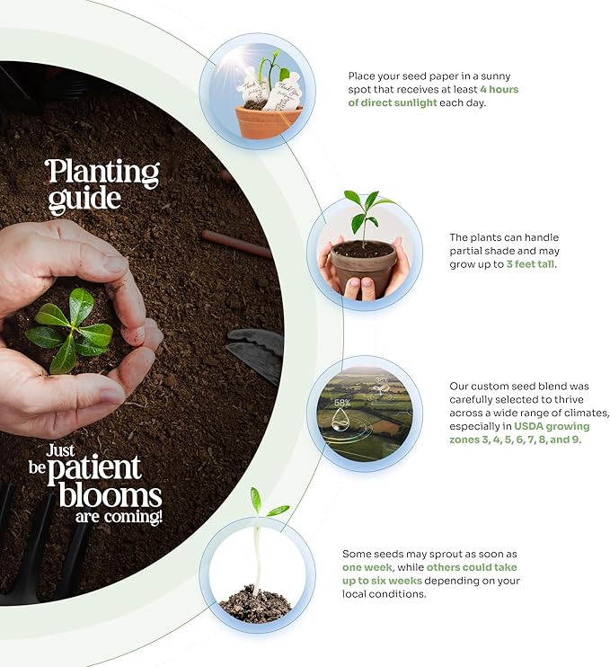 Wildflower Seed Paper - Set of 24 Hummingbird-Shaped for Funeral Favors, Memorial Gifts, & Sympathy Gifts for Loss of Father and Mother (Purple)