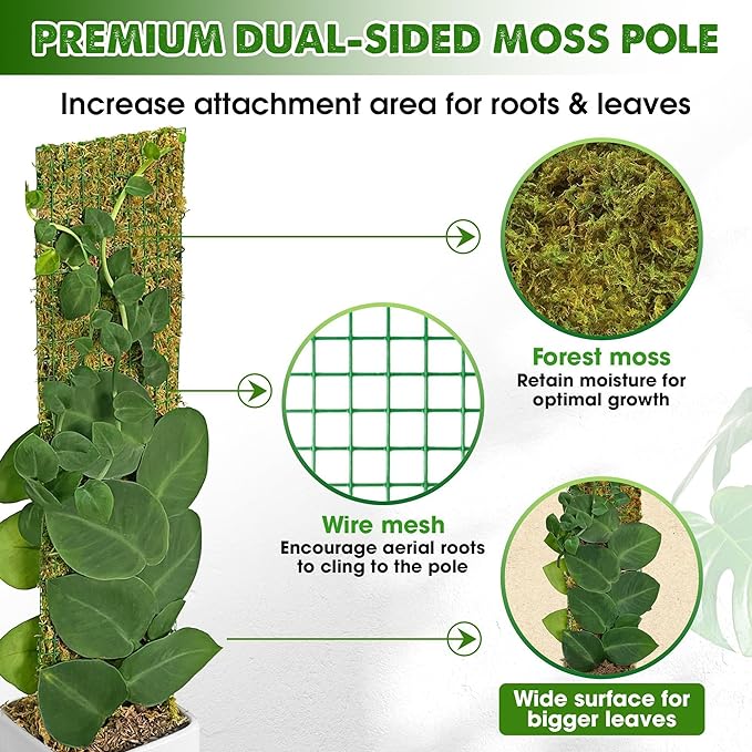DUSPRO Flat Mesh Moss Poles for Climbing Plants Monstera Stackable Moss Pole for Plants with Real Moss Moss Plant Pole for Potted Plants Handmade Moss Stick for Indoor Plants Grow Upward 2 Pack 22”