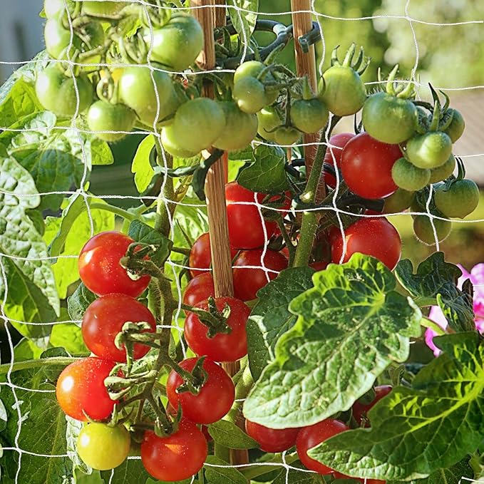 Heavy Duty Garden Trellis Netting, 6 x 30 ft, White, Rectangular, Reusable, Supports Vine Vegetables Fruits Flowers, Ideal for Vertical Horizontal Gardening