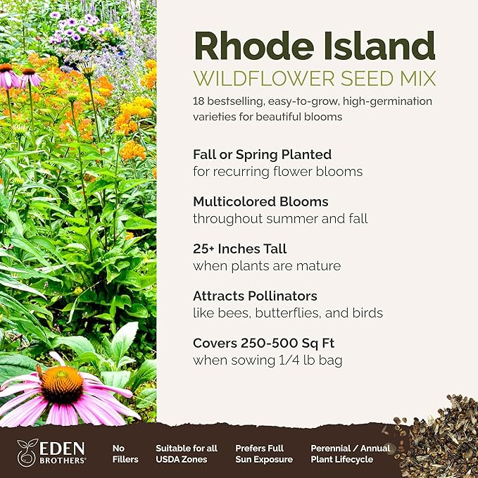 Eden Brothers Rhode Island Wildflower Mixed Seeds for Planting, 1/4 lb, 120,000+ Seeds with WallFlower, Sunflower | Attracts Pollinators, Plant in Spring or Fall, Zones