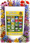 Bee Wildflower Seed Mix – (2oz) - Pollinator Flower Seeds for Bees – Nectar & Pollen Rich Blooms for Honey Bees. Friendly Flower Blend for Outdoor Gardens & Meadows!